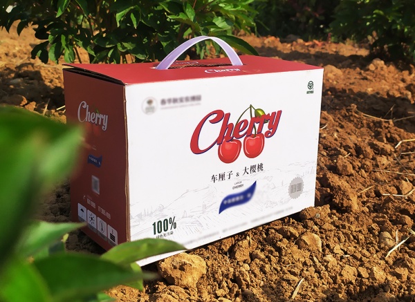 櫻桃、車(chē)?yán)遄佣Y盒
